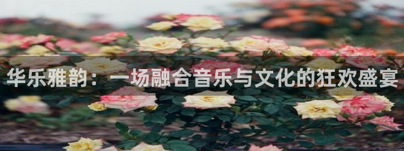 银河官网证券：华乐雅韵：一场融合音乐与文化的狂欢盛宴
