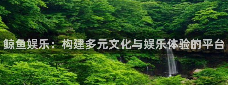 澳门银银河官网：鲸鱼娱乐：构建多元文化与娱乐体验的平台