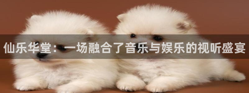 金银河官网：仙乐华堂：一场融合了音乐与娱乐的视听盛宴