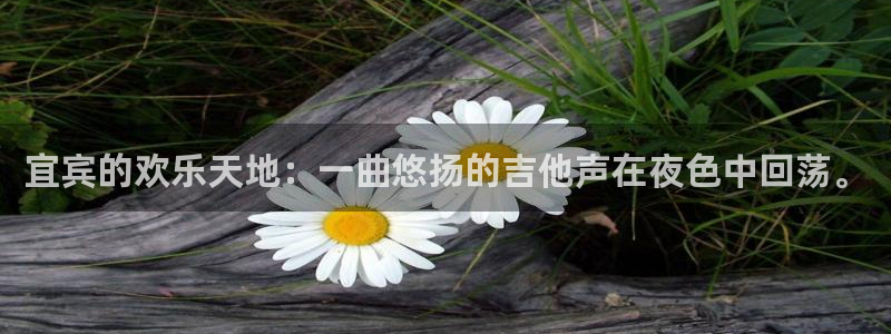 yh银河官网：宜宾的欢乐天地：一曲悠扬的吉他声在夜色中回荡。