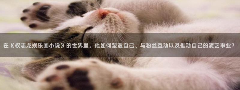 中国银河官网下载：在《权志龙娱乐圈小说》的世界里，他如何塑造自己、与粉丝互动以及推动自己的演艺事业？